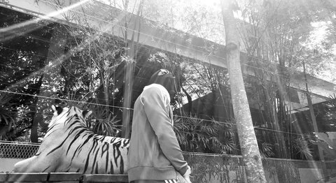 Masked figure beside a large tiger statue in sunlight.